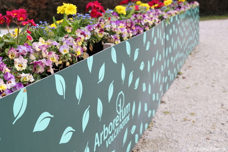 Pot za spomin v Arboretumu Volčji Potok povezuje generacije in krepi demenci prijazno okolje (31)